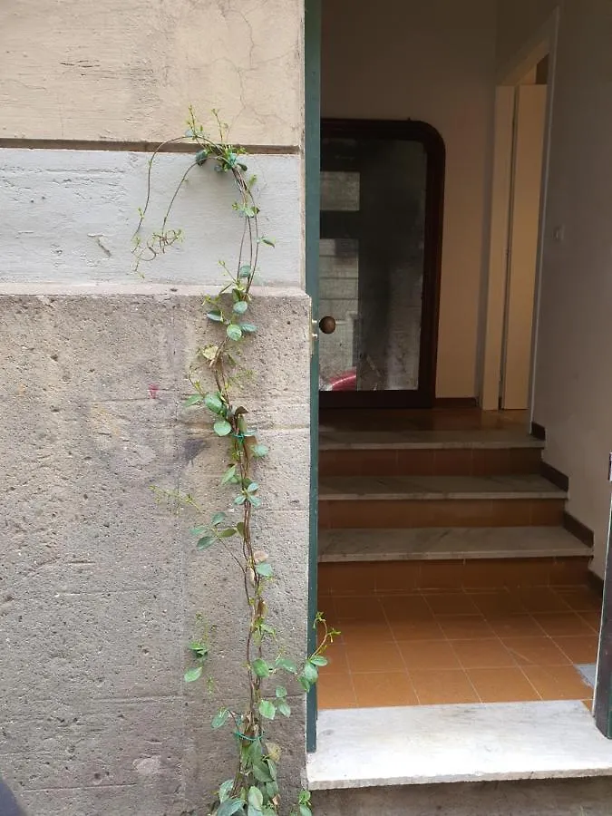 The Loft Of Puppets Villa Rome Holiday home